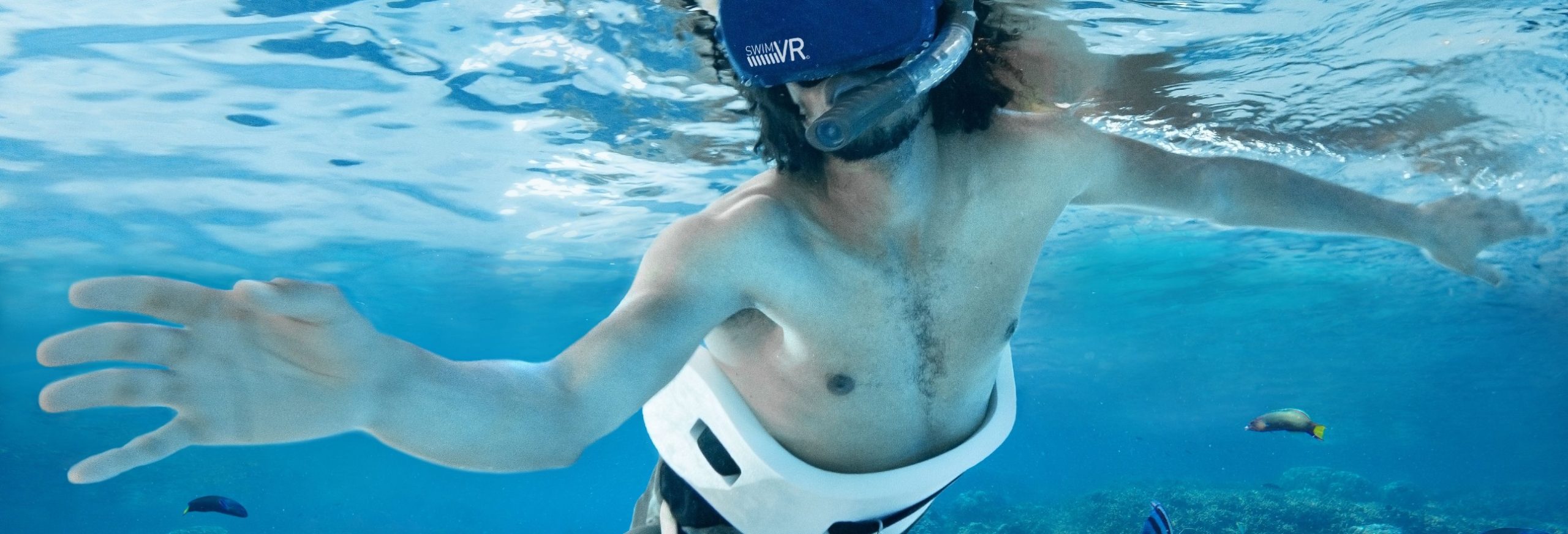 plytje-vr-header